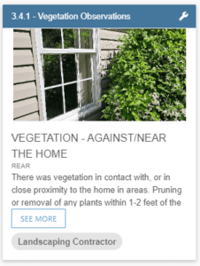 Vegetation Against House
